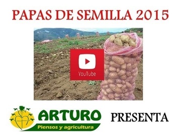 PAPAS DE SEMILLA