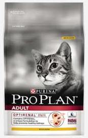 PROPLAN CAT ADULT ORIENTAL POLLO