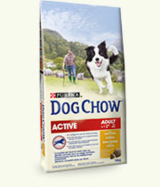 PURINA DOG CHOW ADULT ACTIVE POLLO