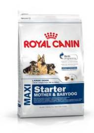 ROYAL CANIN DOG MAXI STARTER
