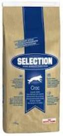 ROYAL CANIN DOG SELECTION HQ CROC ADULTO