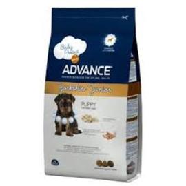 ADVANCE DOG RAZAS PUPPY YORKSHIRE TERRIER JUNIOR