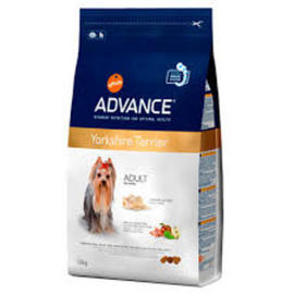 ADVANCE DOG RAZAS YORKSHIRE TERRIER ADULT