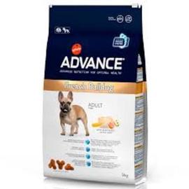 ADVANCE DOG RAZAS BULLDOG FRANCÉS ADULT