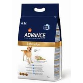 ADVANCE DOG RAZAS LABRADOR ADULT