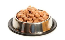Alimentación húmeda gatos