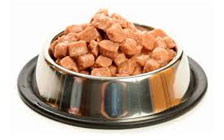 Alimentación húmeda perros
