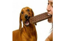 Snacks y golosinas perros