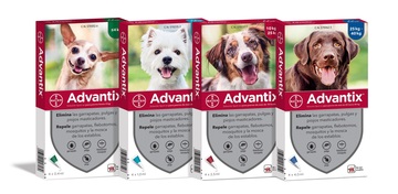 Advantix dog