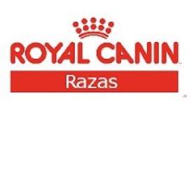 Royal Canin cat especial razas