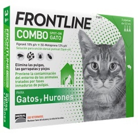 Frontline cat