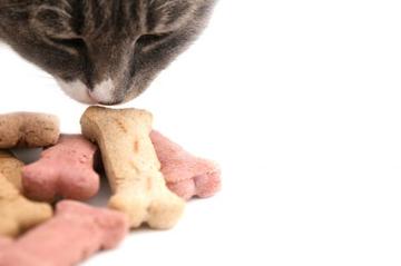Snacks y golosinas gatos
