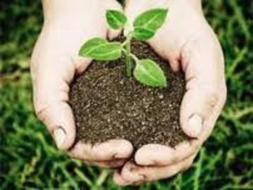 Agricultura