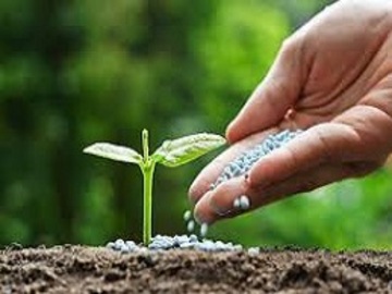 Abonos y Fertilizantes